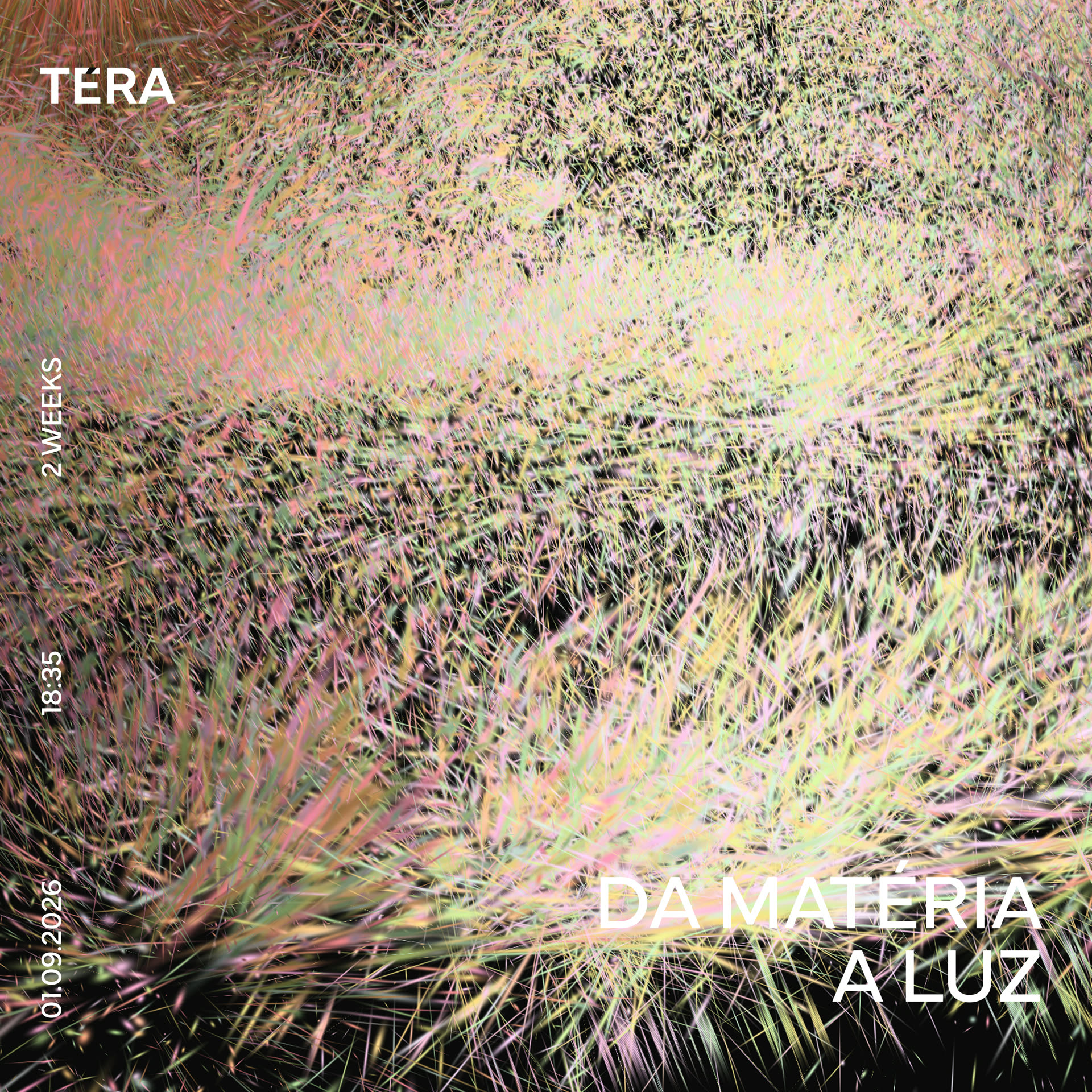 TÉRA v2 - quadrado 02