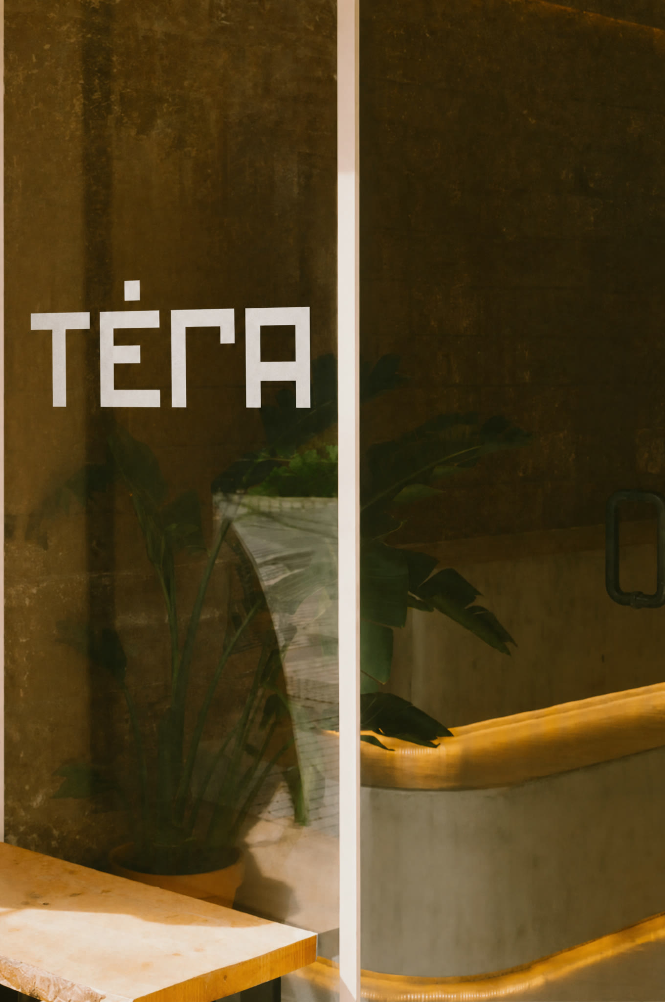 TÉRA v0 - vinil na porta de vidro